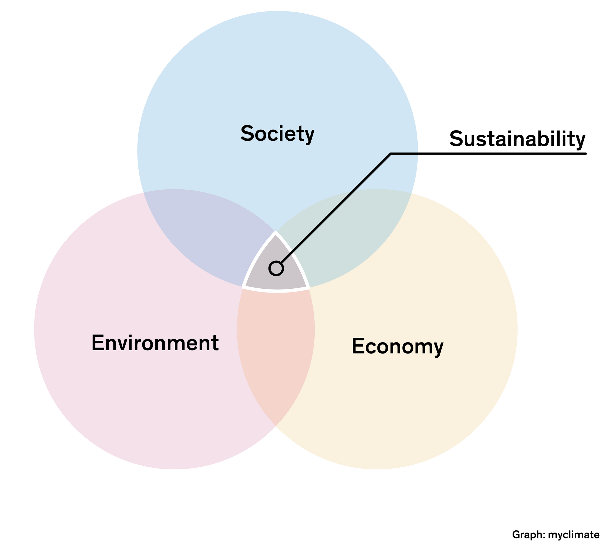 what is sustainability